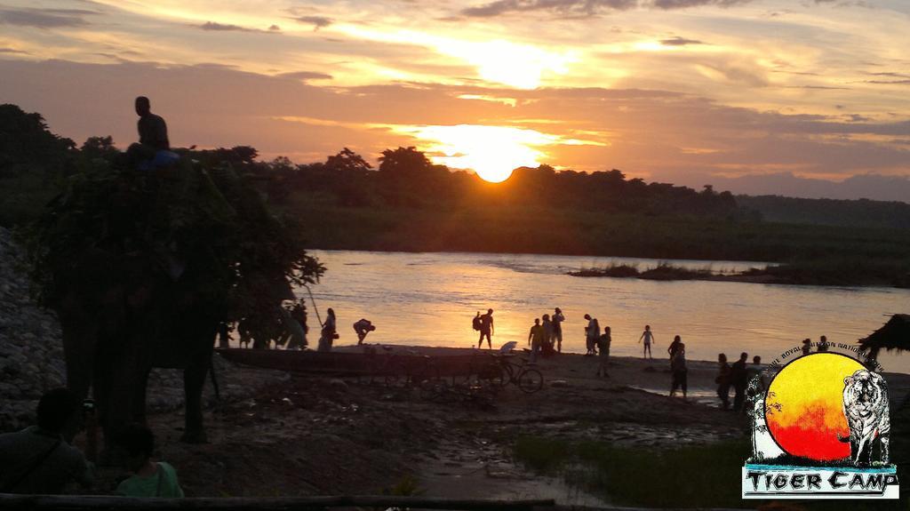 Chitwan Tiger Camp Hotel Sauraha Exterior photo