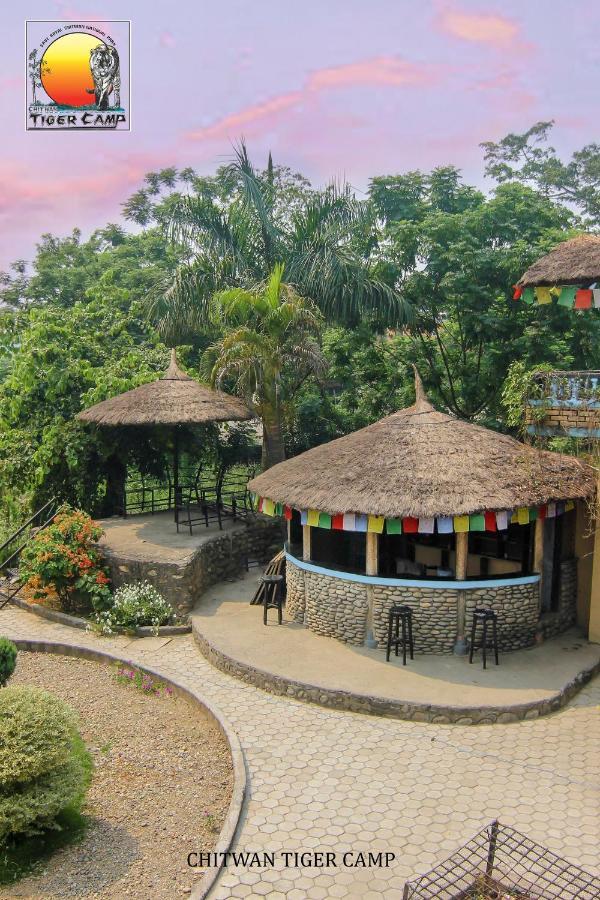 Chitwan Tiger Camp Hotel Sauraha Exterior photo